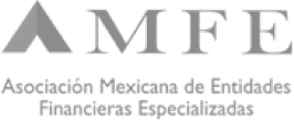 Asociacion Mexicana de Entidades Financieras Especializadas